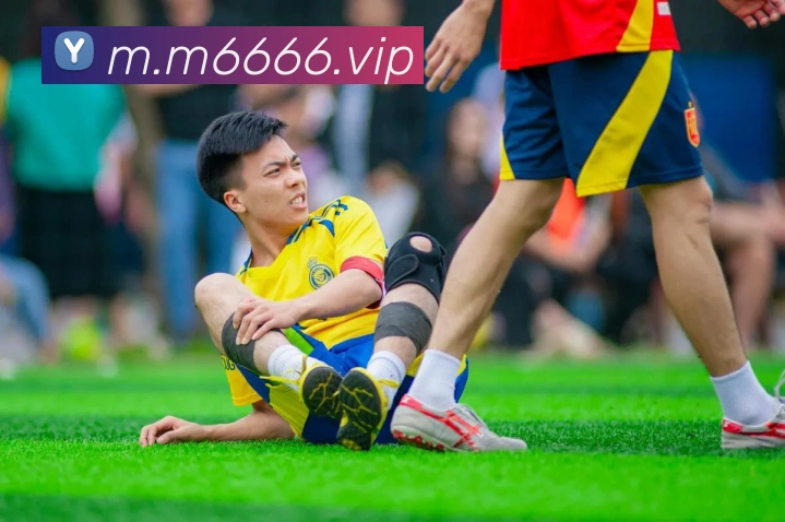 米乐m6服务体系